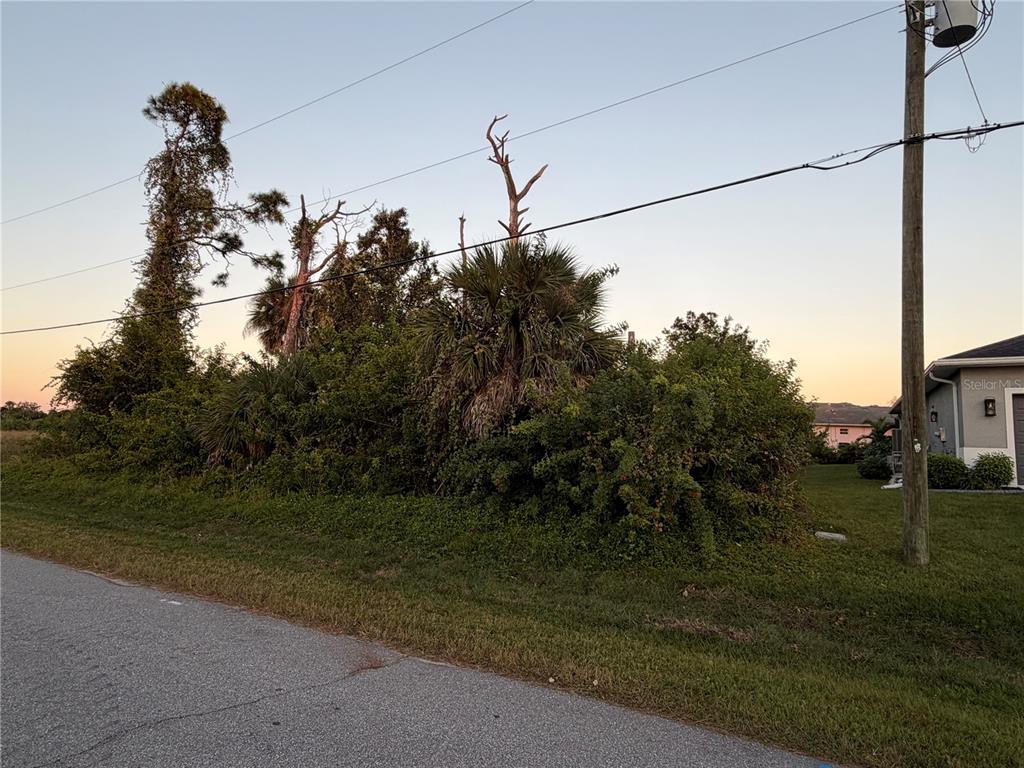 A view of a grassy roadside lot with dense vegetation, palm trees, and a utility pole — 113 OPAL DR, ROTONDA WEST, FL