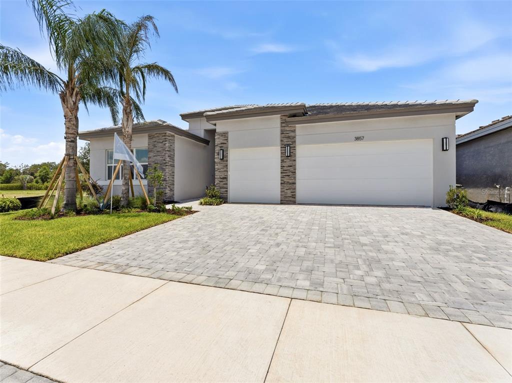A single-story house with a stone-accented facade, a paved driveway, and two palm trees — 3857 CABERNET TERRACE, WESLEY CHAPEL, FL