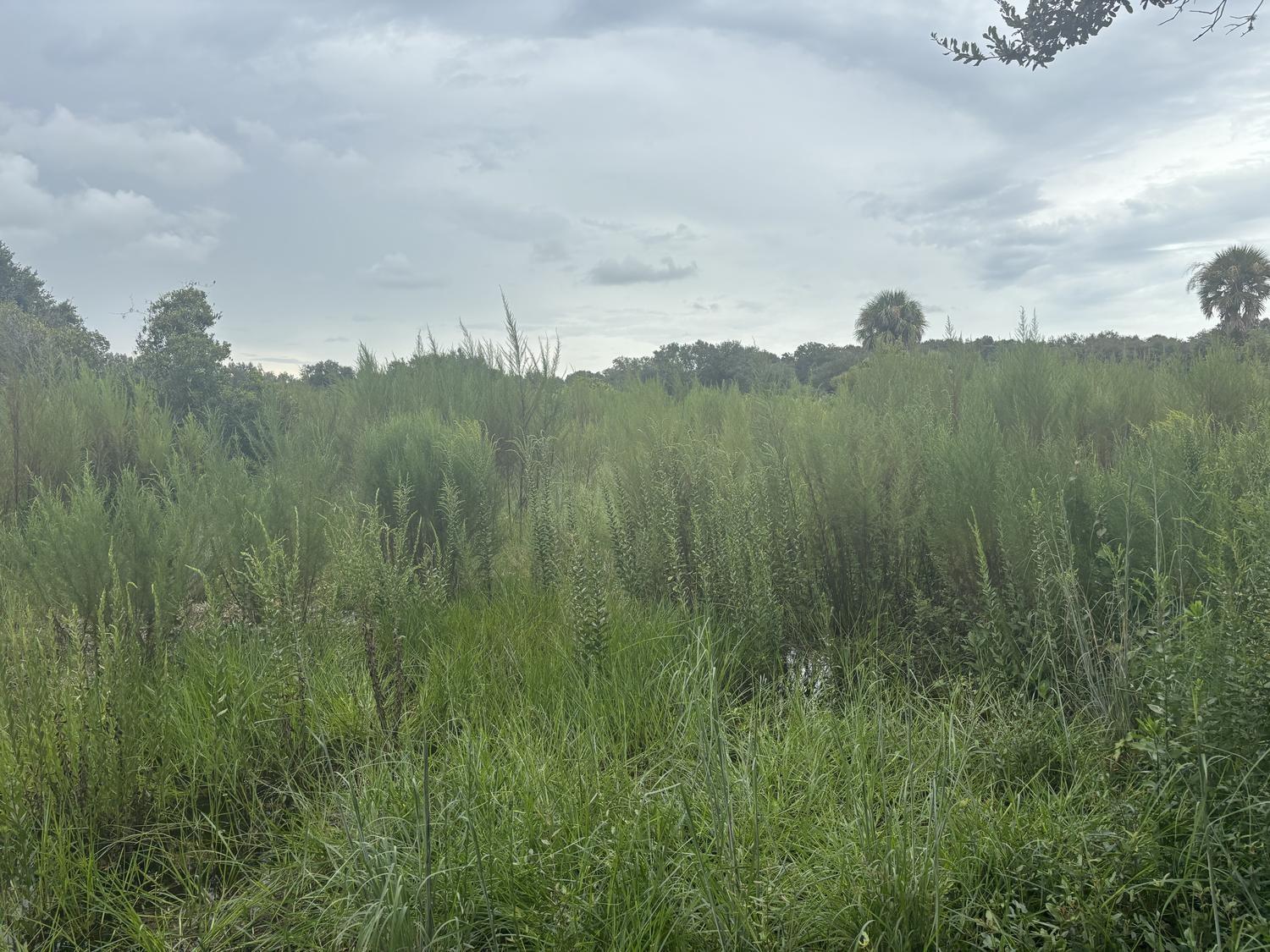 0 294th Street, Okeechobee FL 34972, OKEECHOBEE, FL — photo 2 of 3