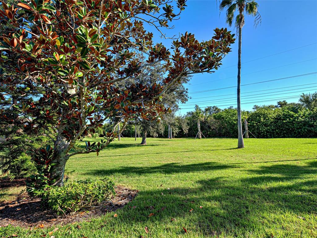 A large, grassy backyard features a prominent magnolia tree and several palm trees — 20612 CAPELLO DRIVE, VENICE, FL