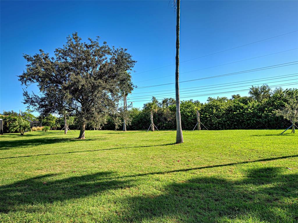 A large, grassy backyard features a prominent tree, a tall palm tree, and perimeter landscaping — 20612 CAPELLO DRIVE, VENICE, FL