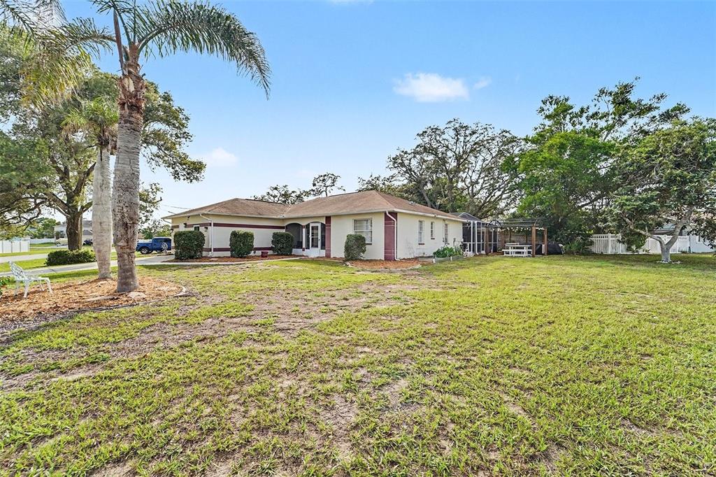 A single-story house with a large lawn, palm trees, and a backyard patio area — 11363 NORVELL ROAD, SPRING HILL, FL