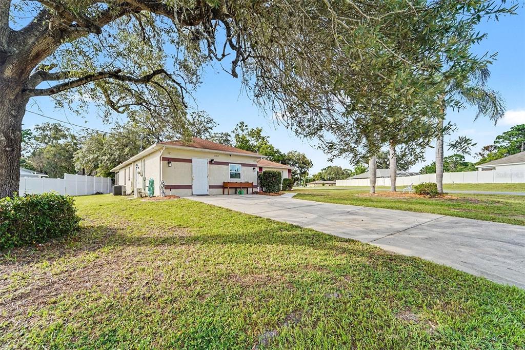 A single-story house with a concrete driveway and a large tree in the front yard — 11363 NORVELL ROAD, SPRING HILL, FL