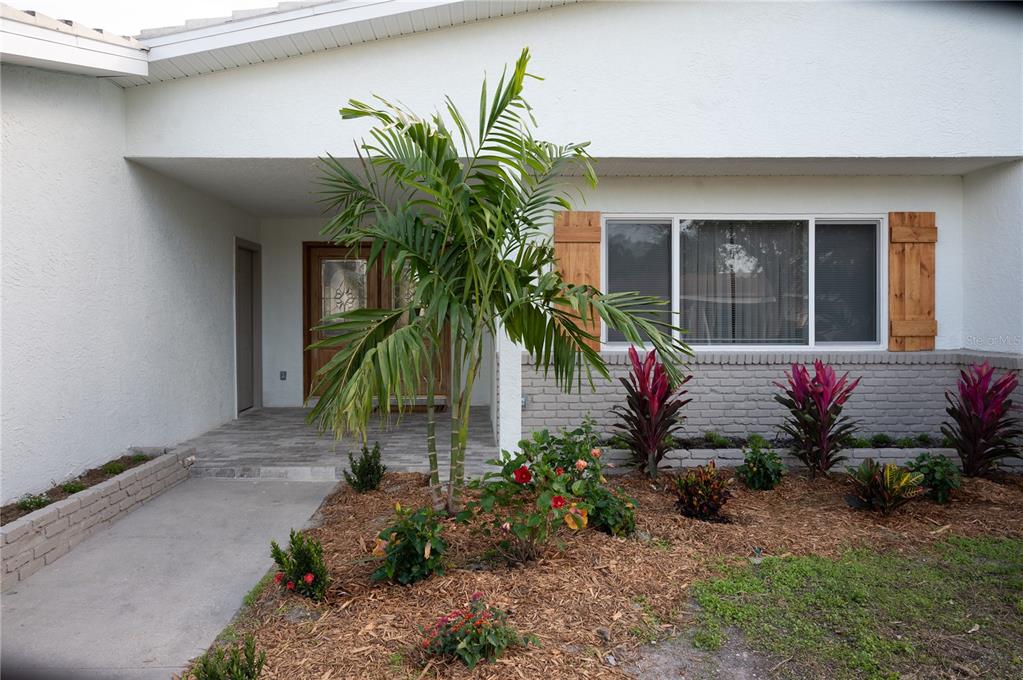 A palm tree and tropical plants sit in front of a house with white stucco walls — 6613 BLUE HERON DRIVE S, ST PETERSBURG, FL