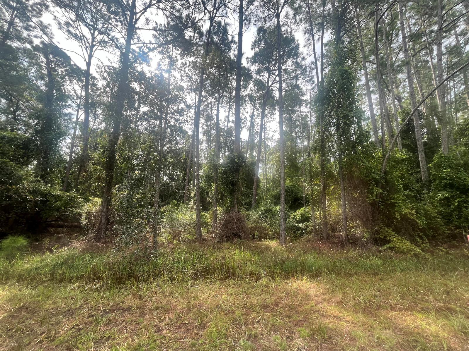 223 SE 2nd Street, FL 32139