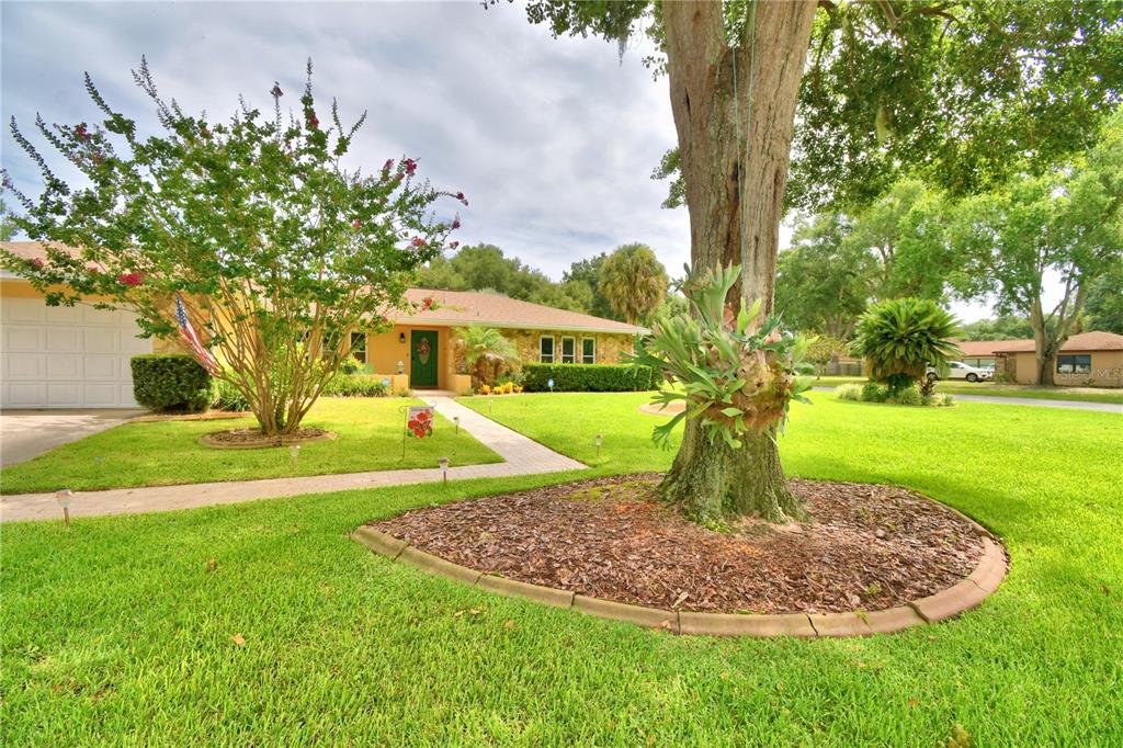 A single-story house with a lawn, a large tree, and a paved walkway — 902 CRESTVIEW DRIVE, AUBURNDALE, FL