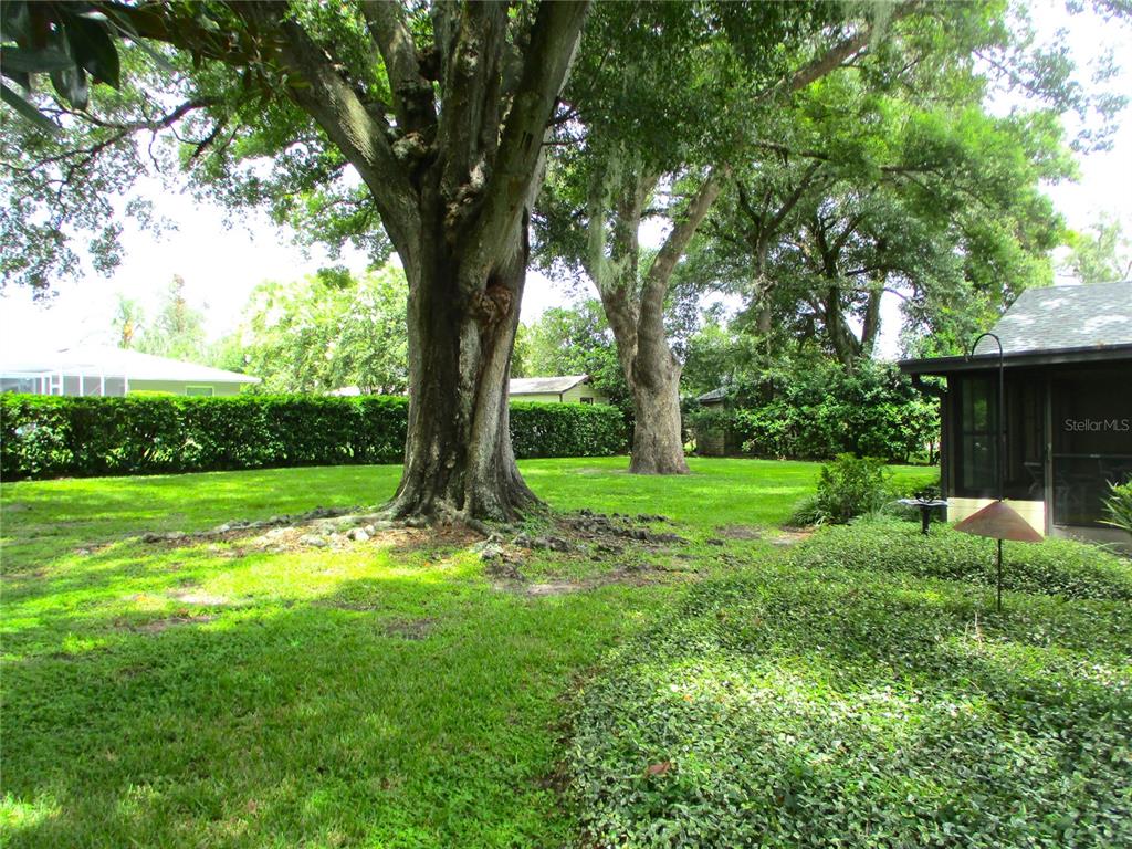 A large backyard features two mature oak trees, a green lawn, and a screened porch — 1118 KNIGHTS PLACE, LAKELAND, FL