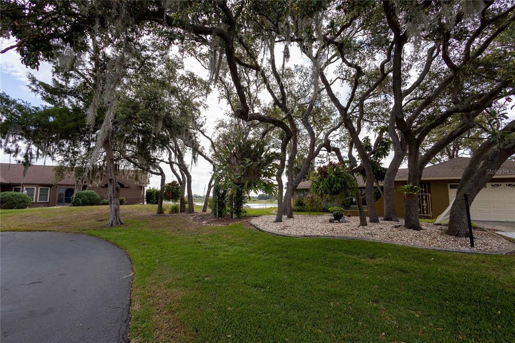A paved driveway leads to a house exterior surrounded by large trees with hanging moss — 268 EASTPOINT COURT, SPRING HILL, FL