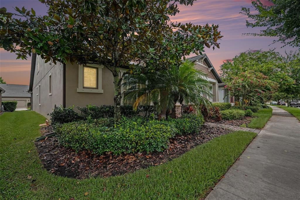 A side view of a house exterior featuring a large tree, landscaping, and a sidewalk — 12890 PAYTON STREET, ODESSA, FL