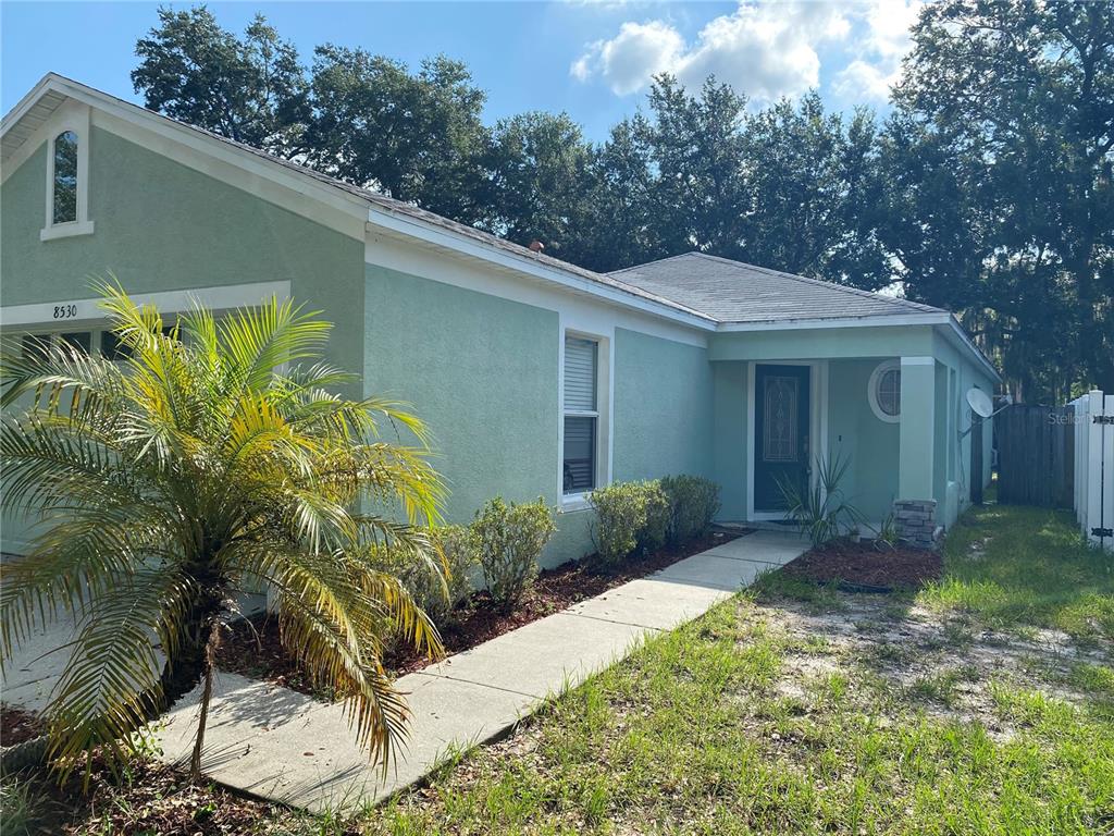 A light green single-story house features a palm tree, a concrete walkway, and a covered entrance — 8530 QUARTER HORSE DRIVE, RIVERVIEW, FL