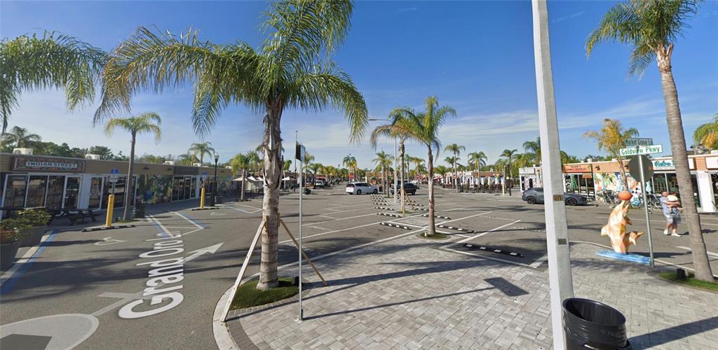 An outdoor parking lot features palm trees, paved walkways, and storefronts under a clear sky — 5888 GRAND ORO LANE UNIT 112, WESLEY CHAPEL, FL