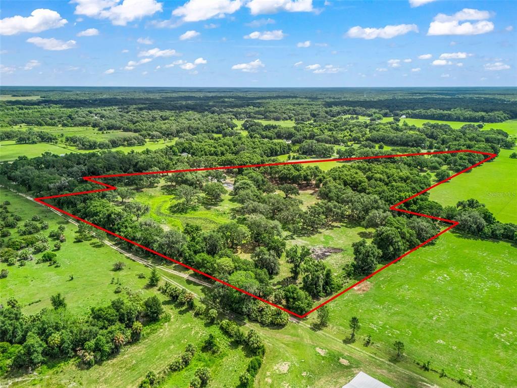 An aerial view shows a large, wooded plot of land outlined in red — 10660 E BUSHNELL ROAD, FLORAL CITY, FL