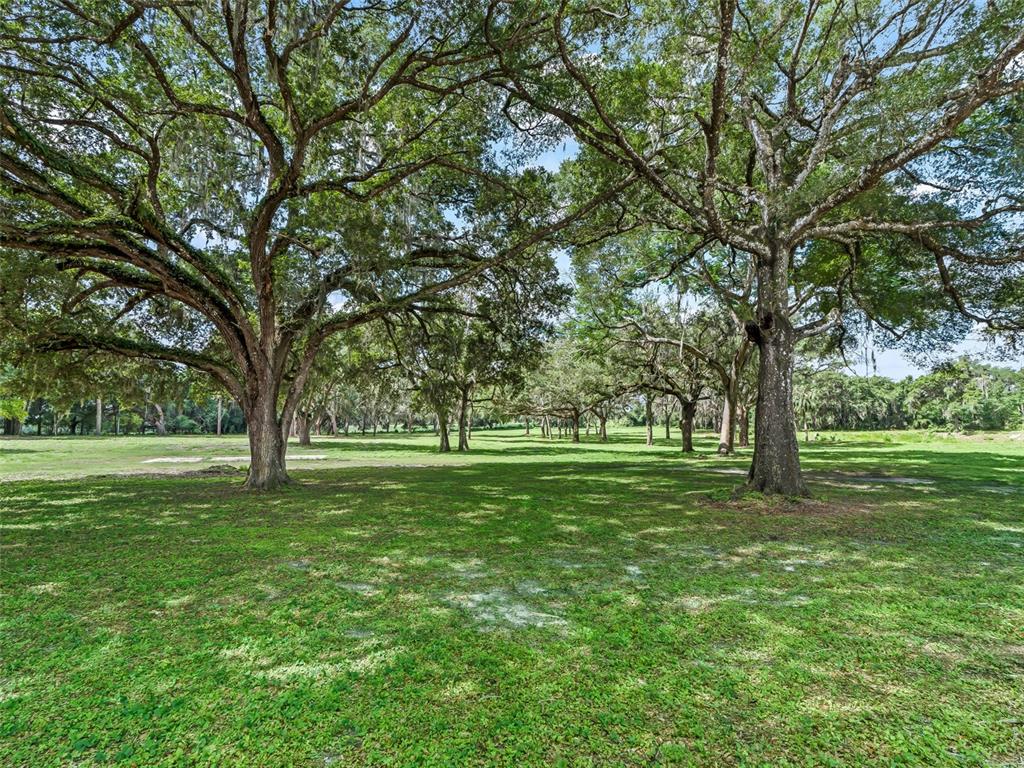 A grassy, open lot features several large, mature oak trees with Spanish moss — 10660 E BUSHNELL ROAD, FLORAL CITY, FL