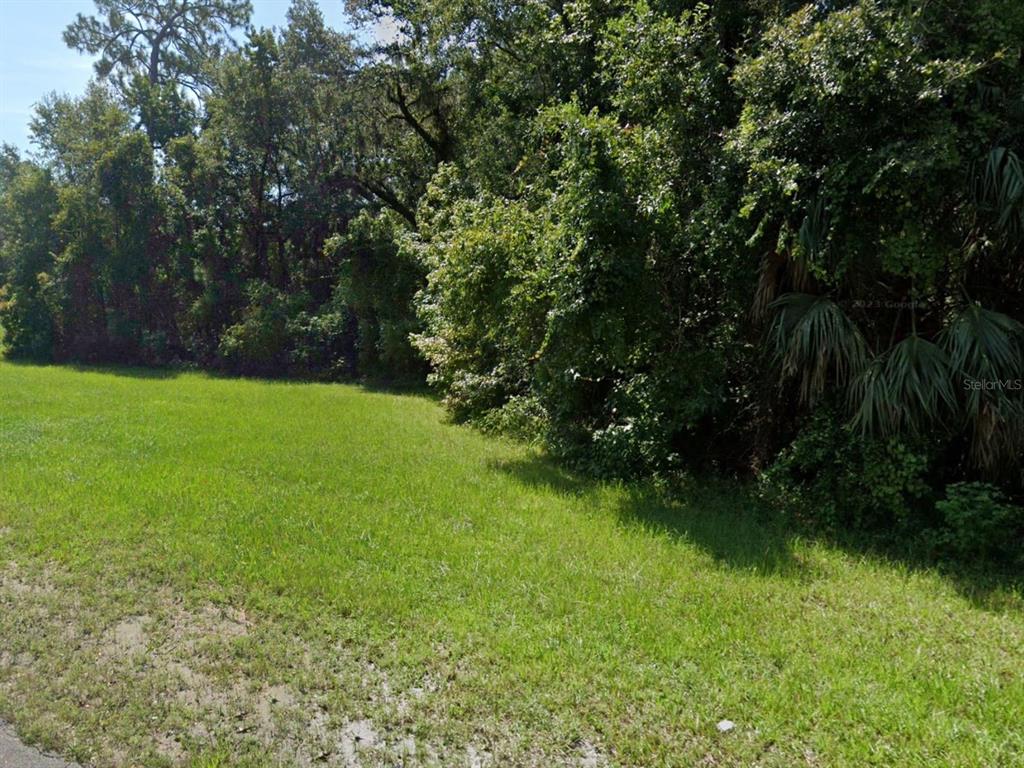 A grassy, vacant lot is bordered by a dense line of mature trees and vegetation — 44 W SR 44 NEW YORK AVENUE, DELAND, FL