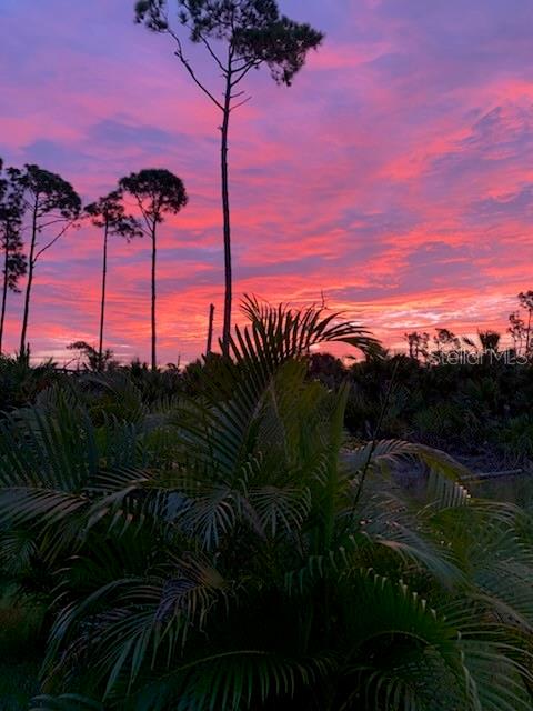 A vibrant sunset glows behind tall pine trees and a large palm plant in a field — 197 JADE STREET, ROTONDA WEST, FL