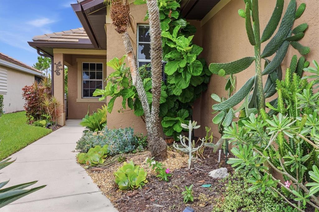 A walkway leads to the front entrance of a house surrounded by various desert plants — 3275 OSPREY LANE, PORT CHARLOTTE, FL