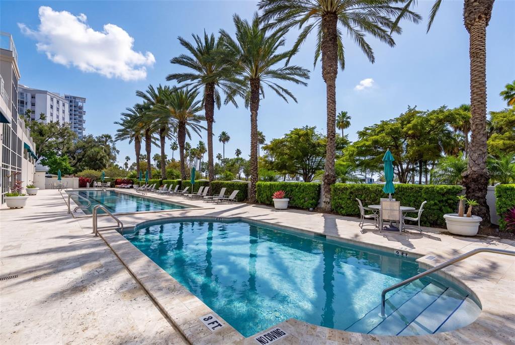 A swimming pool with a shallow entry area and palm trees on a sunny patio — 340 S PALM AVENUE UNIT 14, SARASOTA, FL
