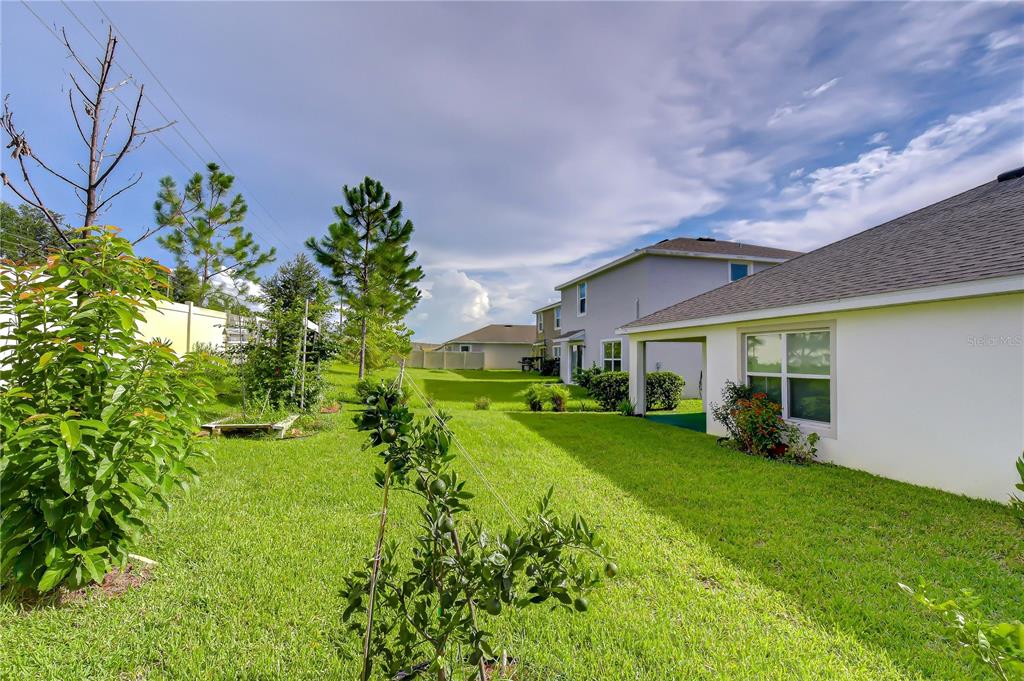 A grassy backyard features a young citrus tree, a garden bed, and neighboring suburban houses — 7760 BROAD POINTE DRIVE, ZEPHYRHILLS, FL