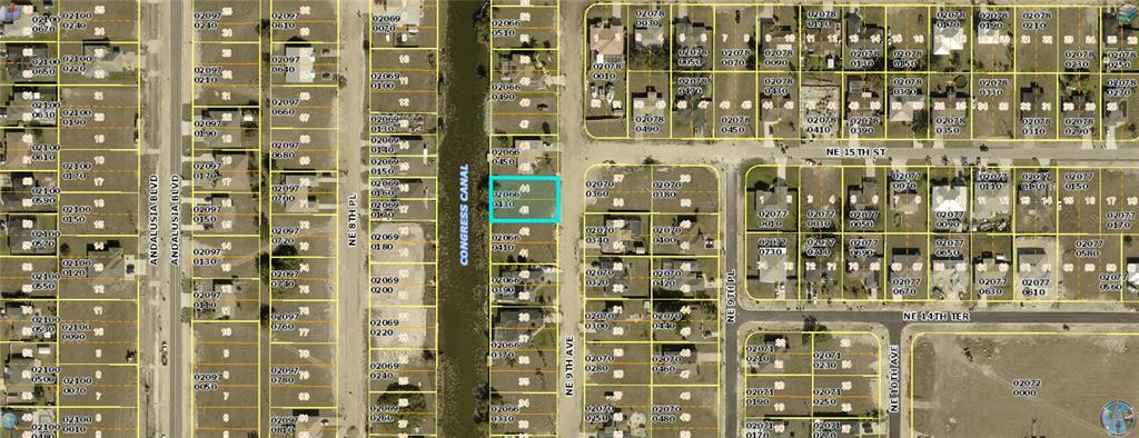 This is a satellite map view of residential lots and streets in a suburban neighborhood — 1424 NE 9TH AVENUE, CAPE CORAL, FL