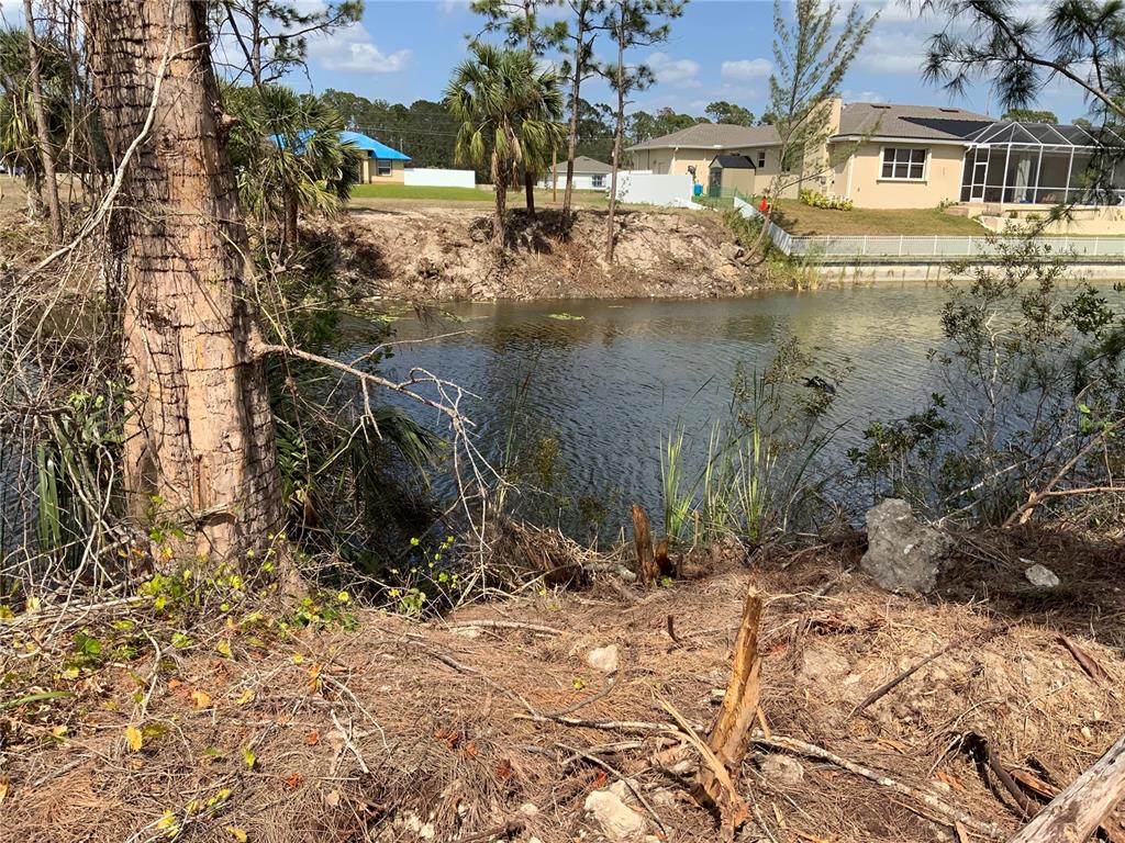 A view of a small pond bordered by trees and residential houses in the background — 323 NE 31ST STREET, CAPE CORAL, FL