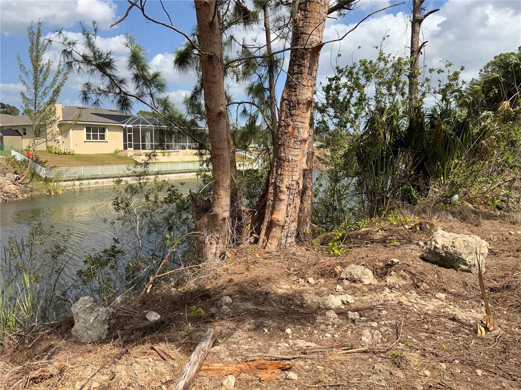 A view of a canal with trees in the foreground and a house across the water — 323 NE 31ST STREET, CAPE CORAL, FL