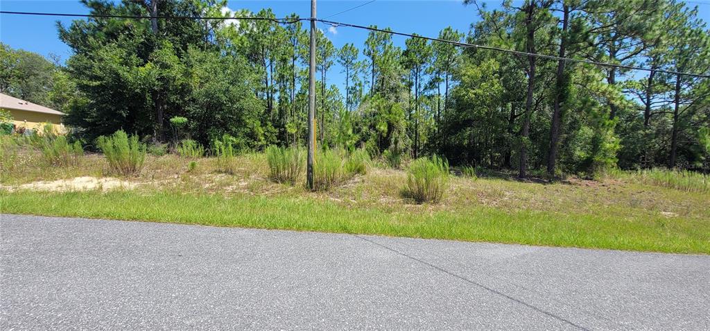 A vacant, grassy lot with scattered brush and trees sits beside a paved road — 7163 N GLENRIDGE CIRCLE, CITRUS SPRINGS, FL