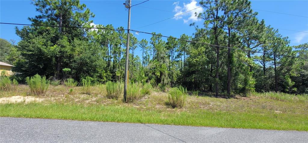 A vacant, wooded residential lot sits alongside a paved road under a blue sky — 7163 N GLENRIDGE CIRCLE, CITRUS SPRINGS, FL