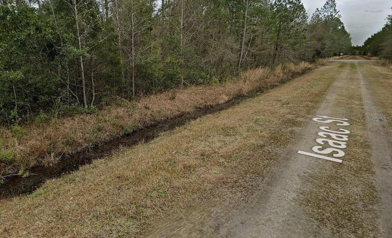A dirt road with a drainage ditch runs alongside a wooded area — 4220 Isaac Street, FL 32145, FL