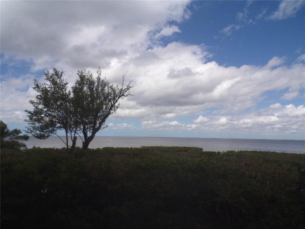 A view of a body of water from a grassy area with a large tree — 101 N MARION COURT UNIT 114, PUNTA GORDA, FL