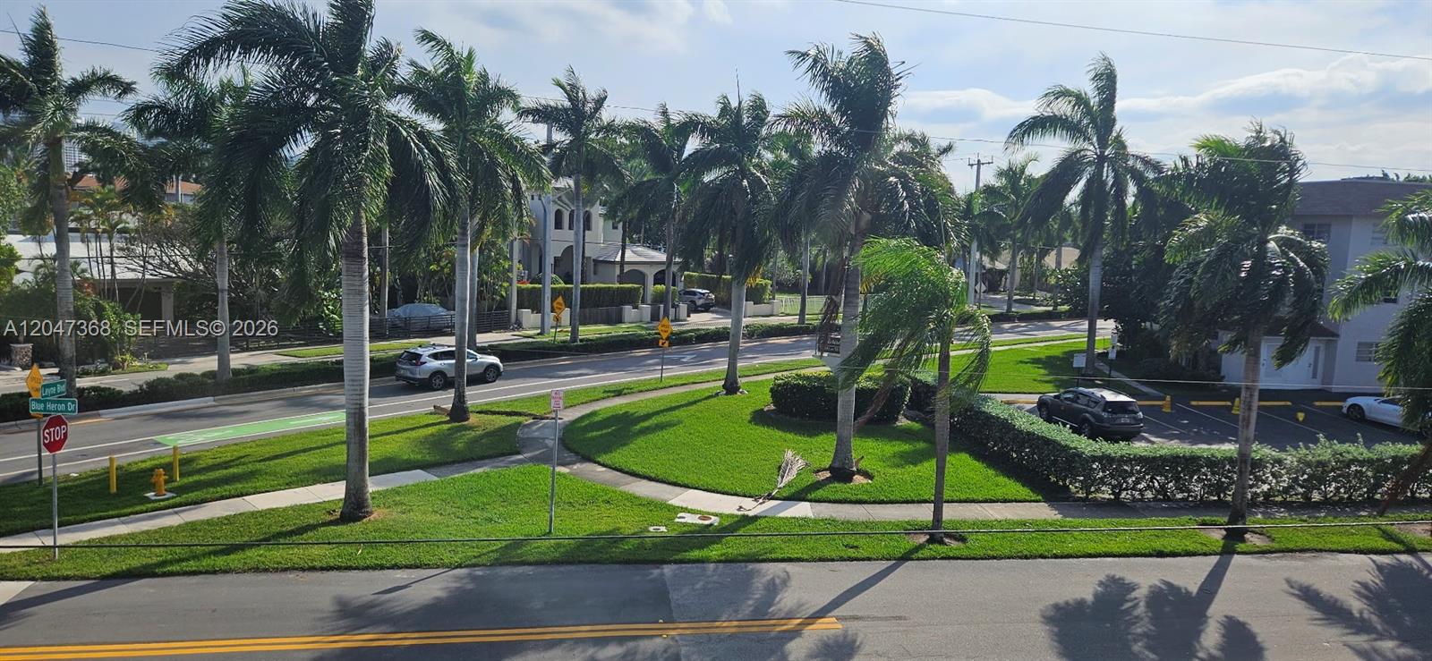 An elevated view shows a street intersection with palm trees, green lawns, and parked cars — 300 Layne Blvd # 313, Hallandale Beach FL 33009, HALLANDALE BEACH, FL
