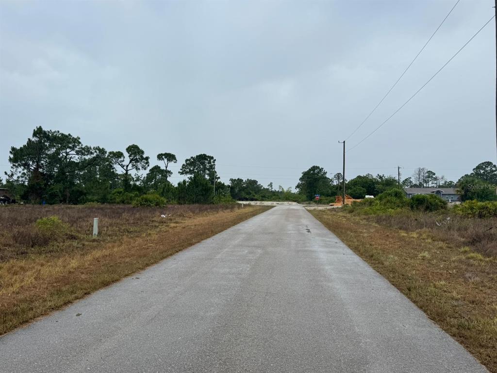 A paved road leads through an undeveloped, grassy lot toward a distant intersection and trees — 1142 ECRUE STREET E, LEHIGH ACRES, FL