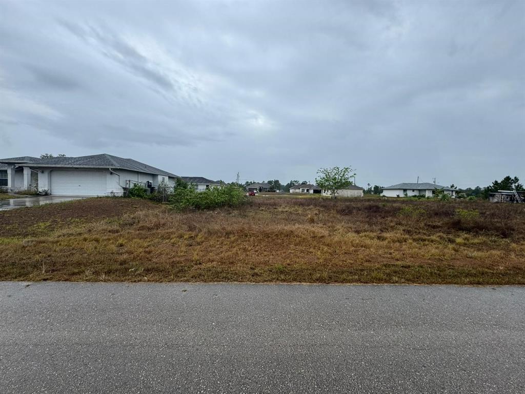 A vacant, grassy lot sits between two suburban houses under a cloudy sky — 1142 ECRUE STREET E, LEHIGH ACRES, FL
