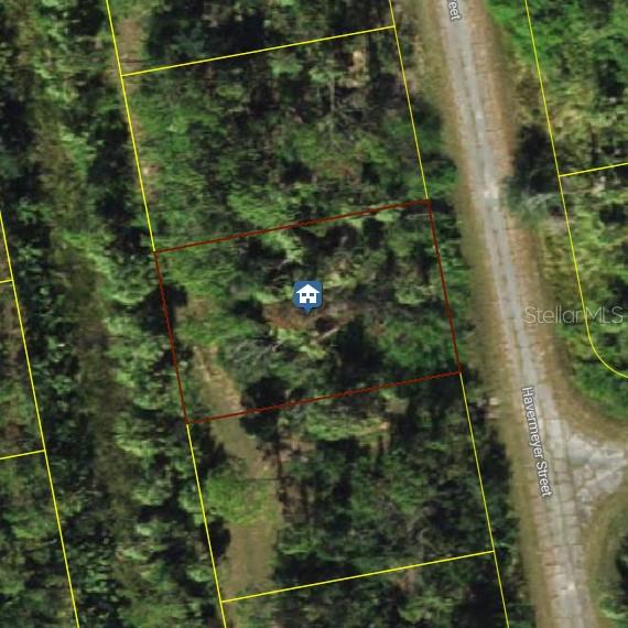 This is an aerial map view showing a rectangular plot of land outlined in red — HAVEMEYER STREET, NORTH PORT, FL