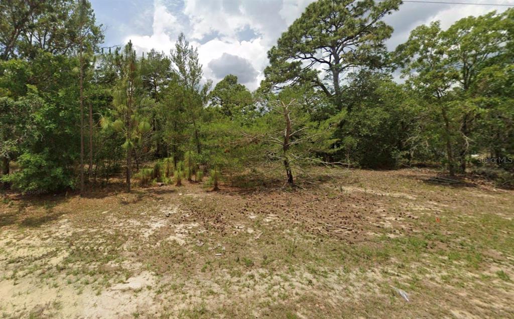 A vacant, wooded lot with sandy ground and scattered pine trees under a cloudy sky — 14214 SW 60TH TERRACE, OCALA, FL