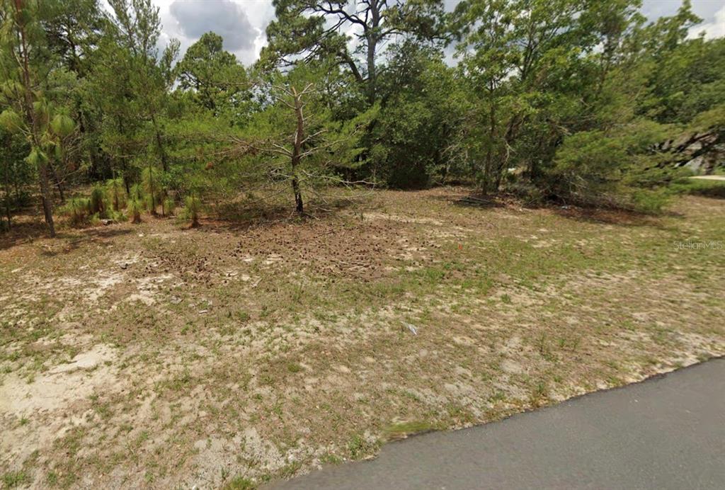 A vacant, wooded residential lot sits adjacent to a paved road — 14214 SW 60TH TERRACE, OCALA, FL