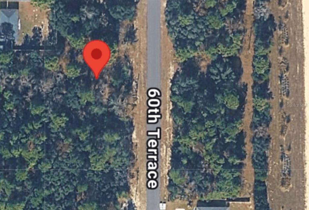 This is an aerial map view showing a wooded lot along a paved road — 14214 SW 60TH TERRACE, OCALA, FL