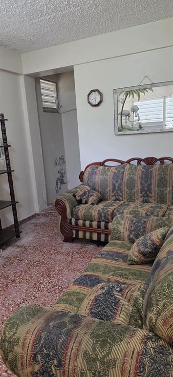 A living room features patterned sofas, a wall clock, and a mirror on a white wall — 53 Aquilino CARR. 430, BO. OVEJAS, ANASCO, PR