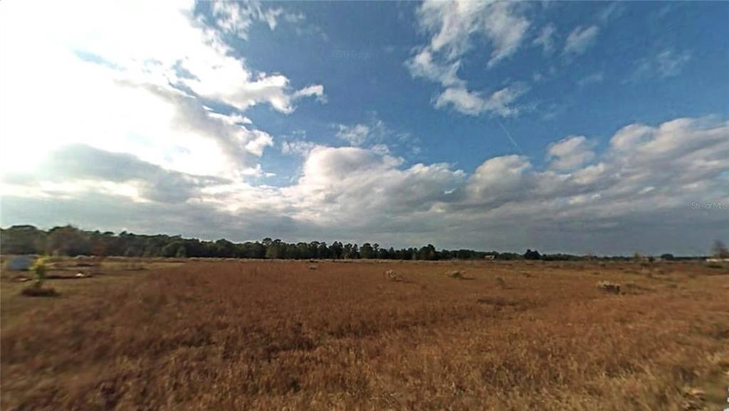 A wide, flat, grassy field stretches toward a distant tree line under a cloudy sky — TBD SW 151ST AVENUE, OCALA, FL