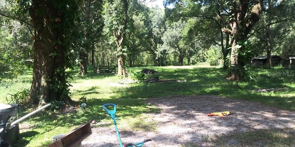 A grassy backyard features large trees, a sandy patch, and a few scattered outdoor items — EVANS RD, POLK CITY, FL