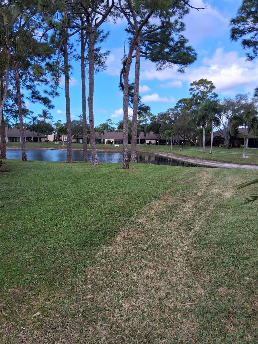 A grassy lawn leads to a small pond surrounded by pine trees and residential buildings — 4703 Rainbow Drive, FL 33463, FL