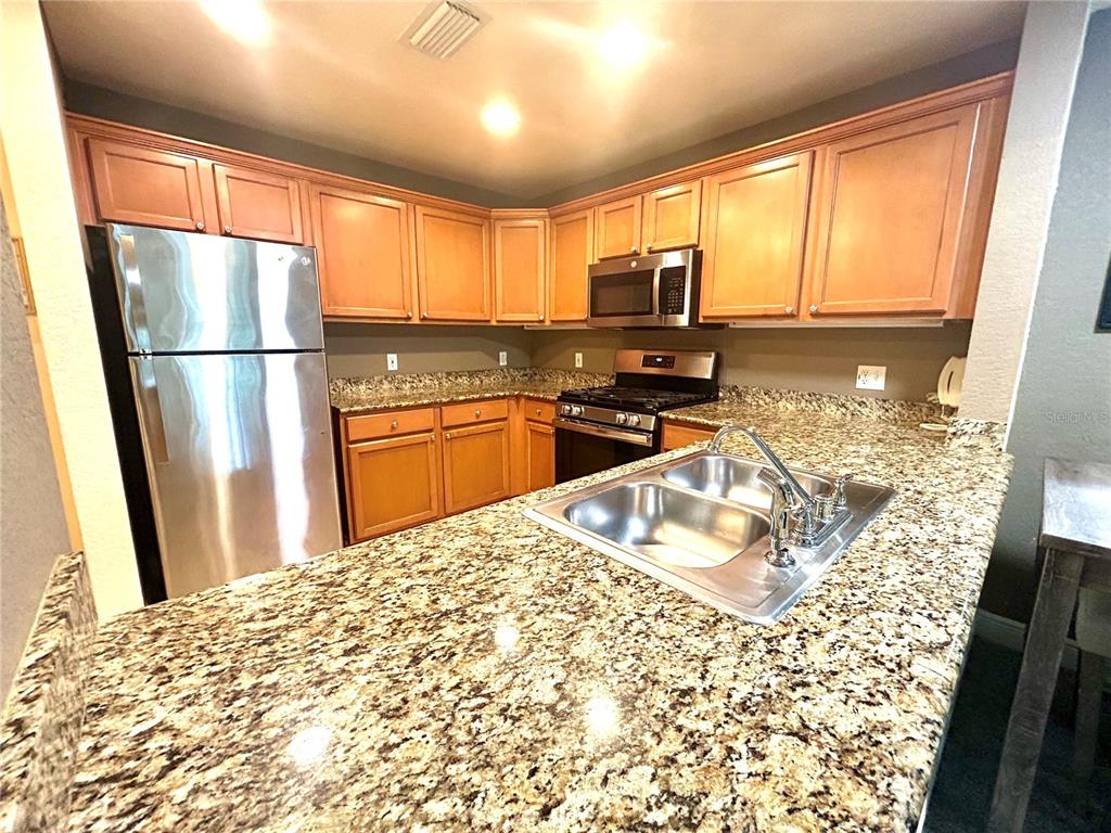 A kitchen features wood cabinets, granite countertops, stainless steel appliances, and a double-basin sink — 1310 SEVEN EAGLES COURT UNIT 201, REUNION, FL