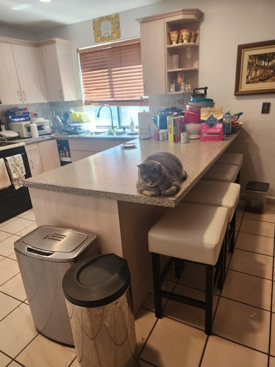 A gray cat sits on the countertop of a kitchen with light-colored cabinets and tile floors — 11060 SW 143rd Pl, Miami FL 33186, MIAMI, FL