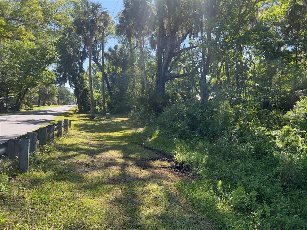 A grassy roadside area with a wooden guardrail borders a dense, wooded forest — 332 NW CRYSTAL STREET, CRYSTAL RIVER, FL