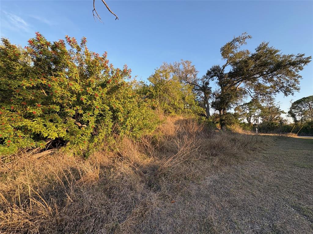A grassy, unmaintained lot features a large, berry-laden shrub and several mature trees — 13333 PALAU CIRCLE, PORT CHARLOTTE, FL
