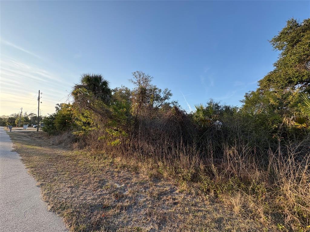 A view of a vacant, overgrown lot bordering a paved road under a clear sky — 13333 PALAU CIRCLE, PORT CHARLOTTE, FL