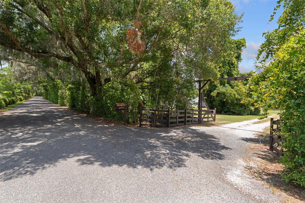 A gravel driveway leads through a wooden gate into a wooded property with large trees — 26255 LAMBETH ROAD, BROOKSVILLE, FL
