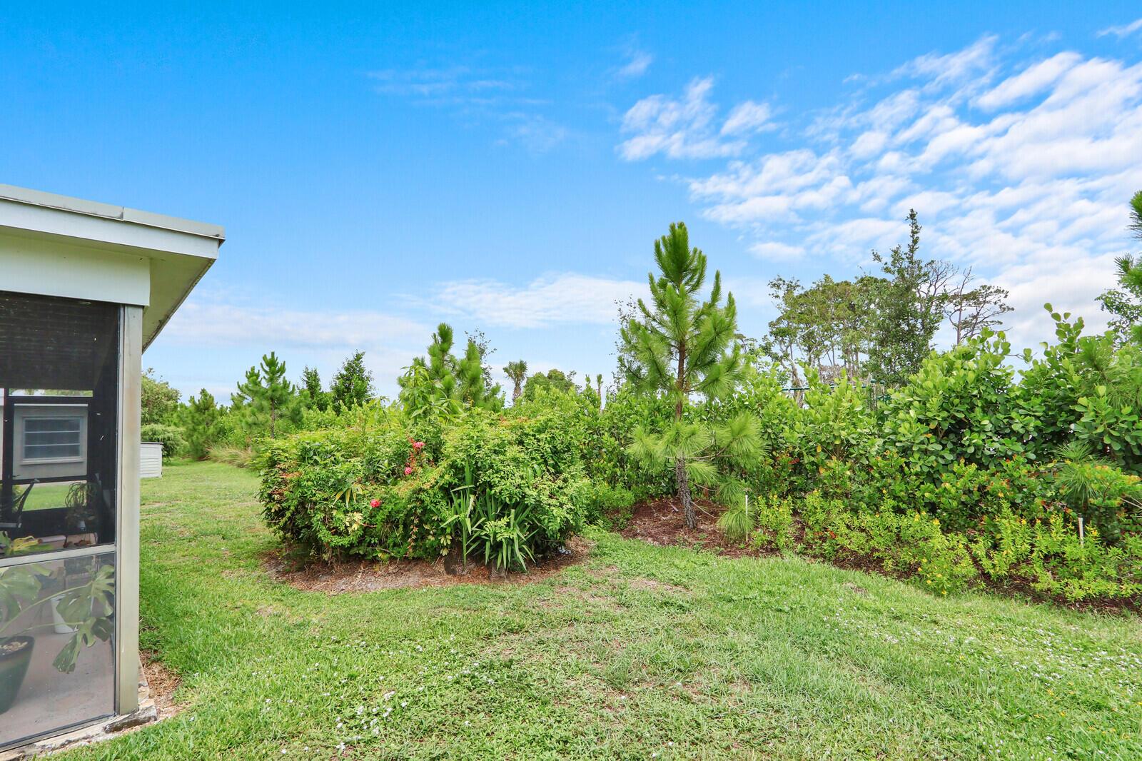 A grassy backyard features a screened-in porch, various shrubs, and several small pine trees — 7156 Pine Bluff Drive, Lake Worth FL 33467, LAKE WORTH, FL