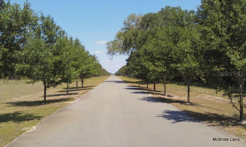 A paved road stretches into the distance, lined with trees on both sides — 17001 SW HIGHWAY 484, DUNNELLON, FL