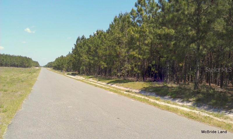 A paved road runs alongside a dense forest of pine trees under a clear blue sky — 17001 SW HIGHWAY 484, DUNNELLON, FL