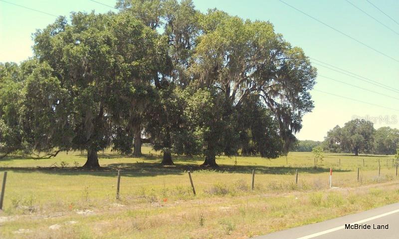 A grassy field features several large, moss-draped oak trees behind a wire fence — 17001 SW HIGHWAY 484, DUNNELLON, FL